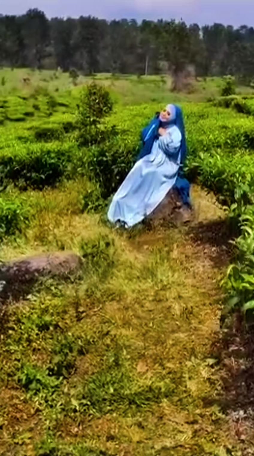 @𝙷𝚊𝚛𝚢