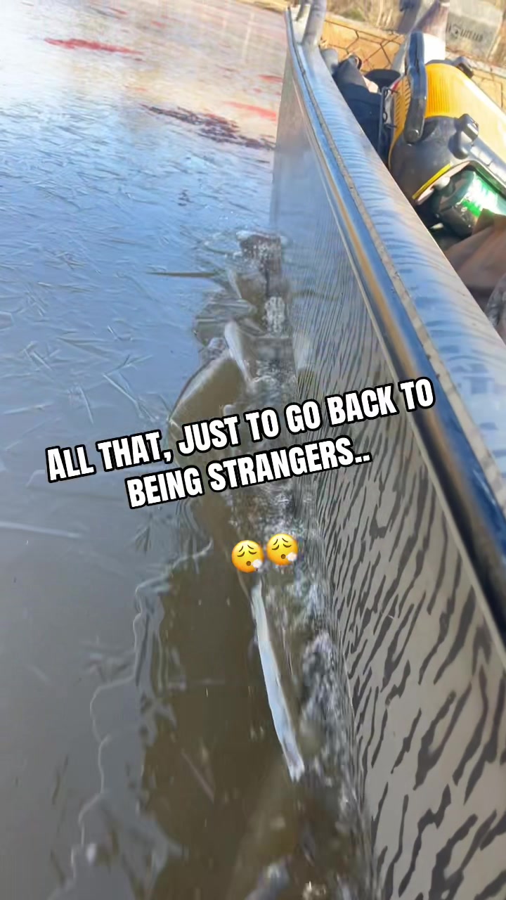 @ScoobyBradford