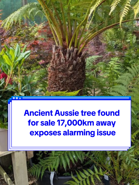 @Yahoo Australia