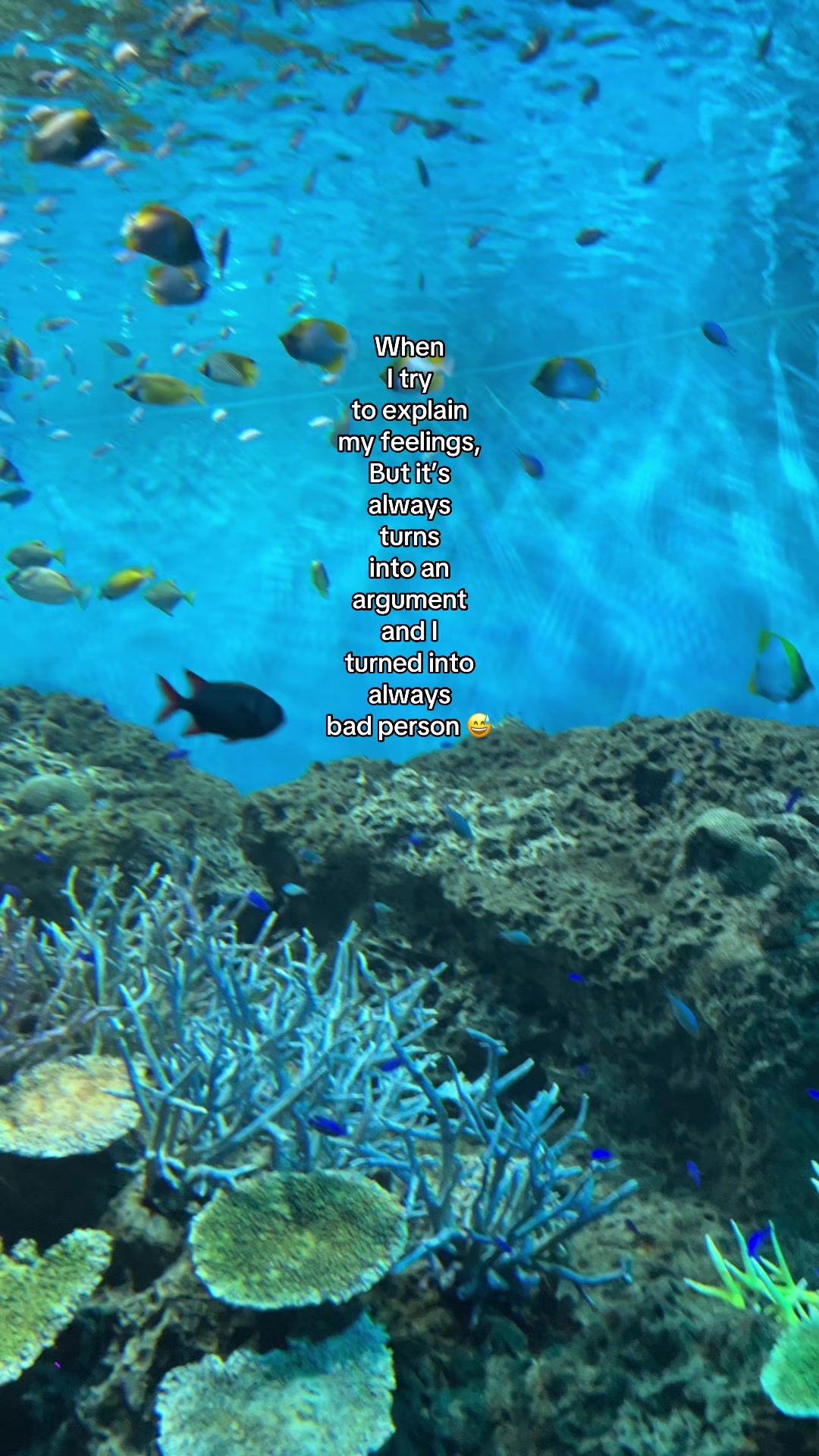 @️T