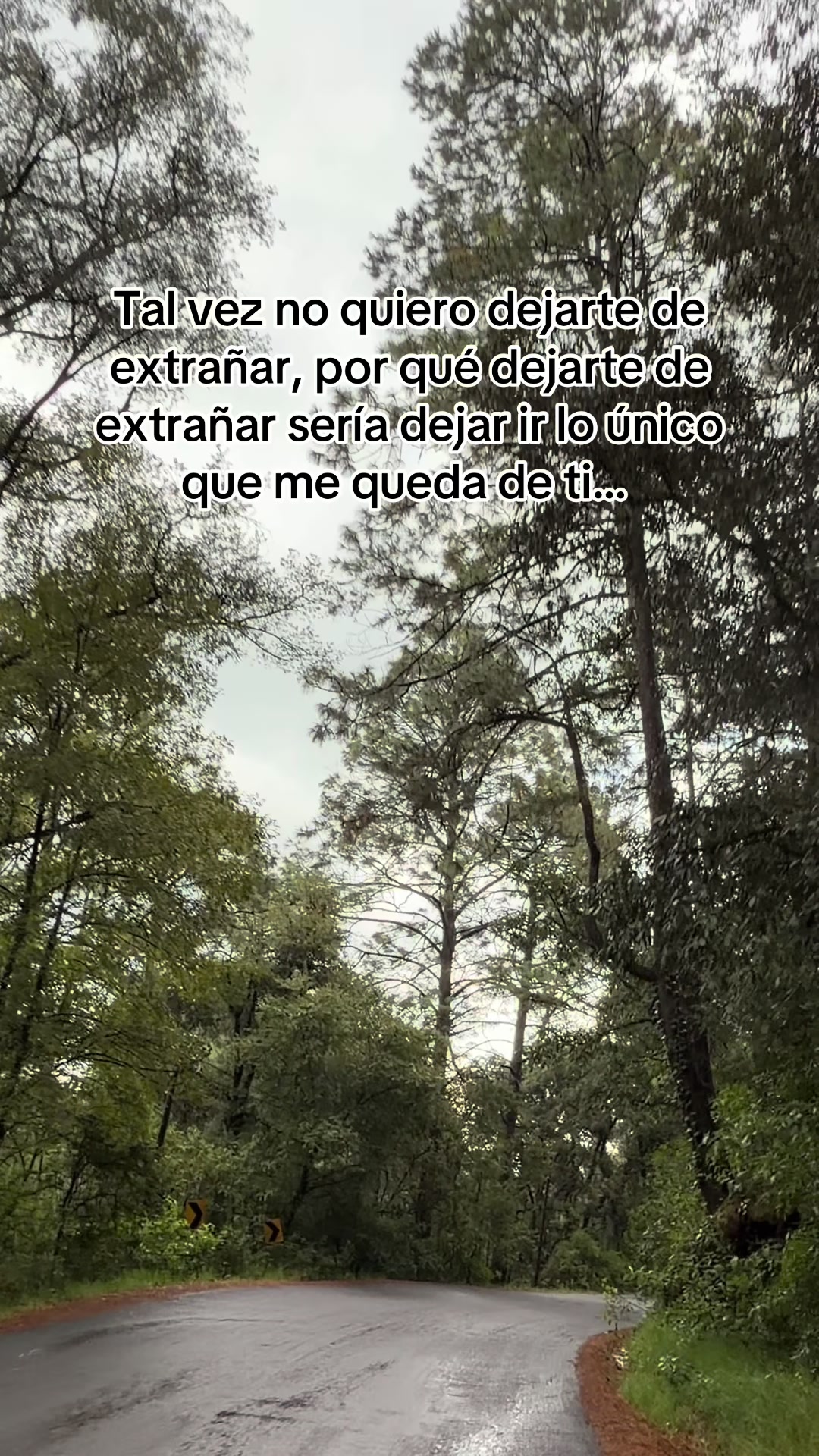 @Noemi Hernandez