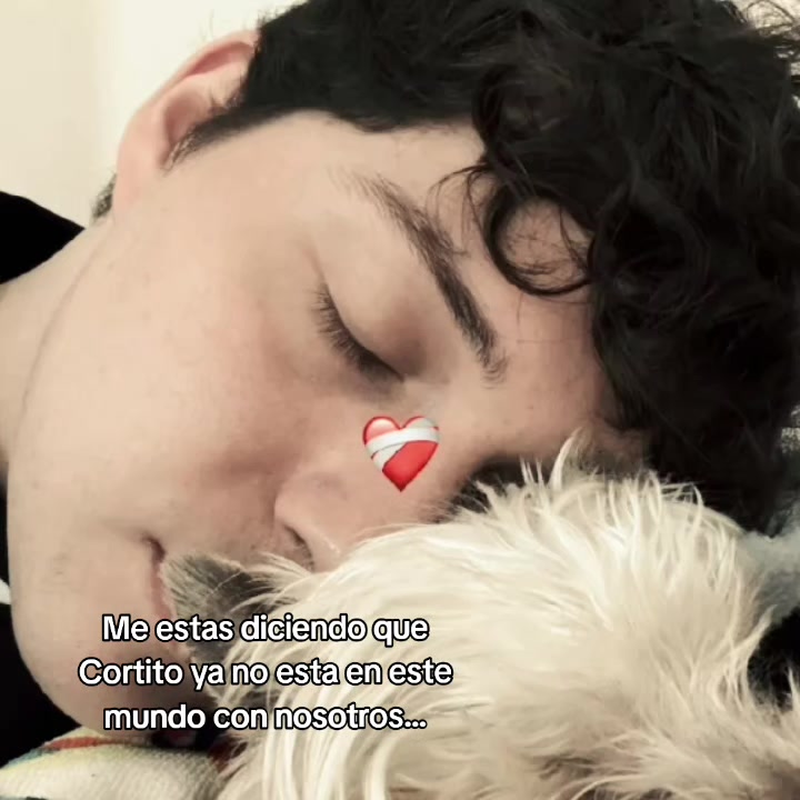 @Guagui♡