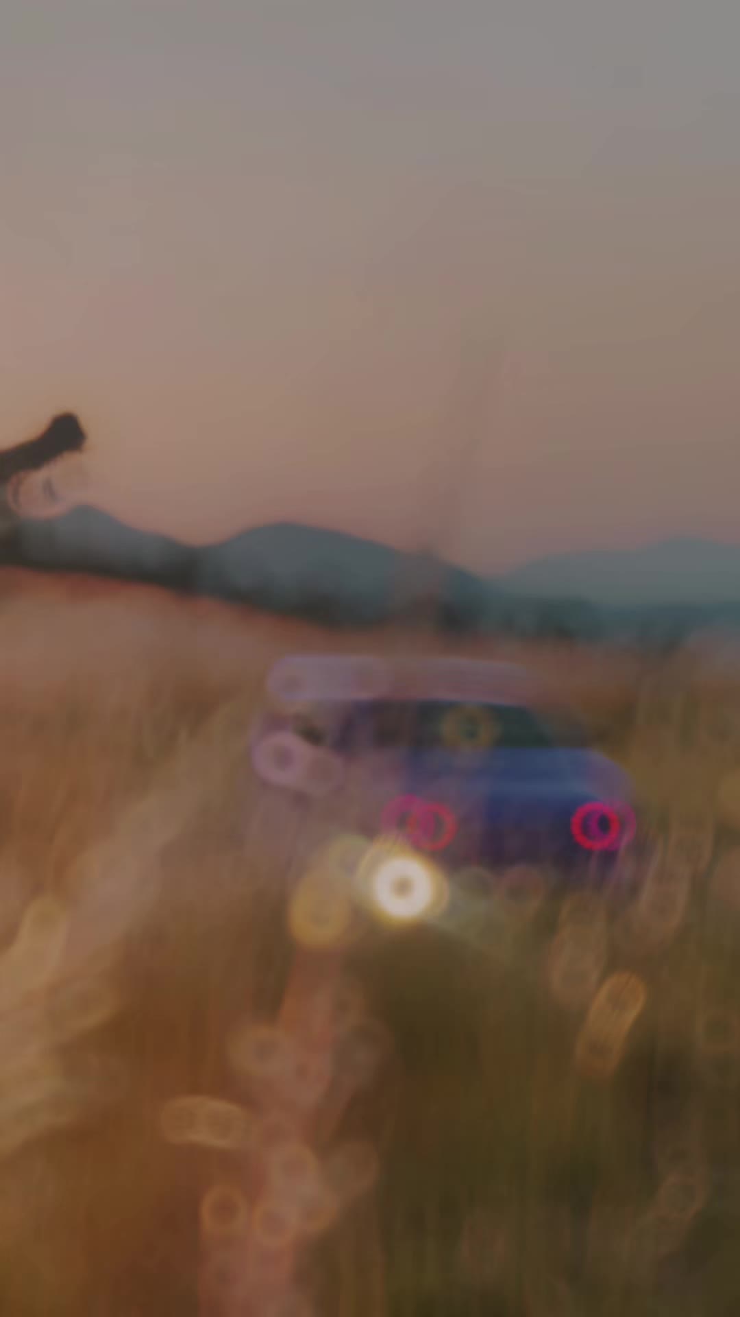 @𓆩 𝑨𝒎𝒆𝒕𝒉𝒚𝒔𝒕 ♛ 𓆪 🕷️