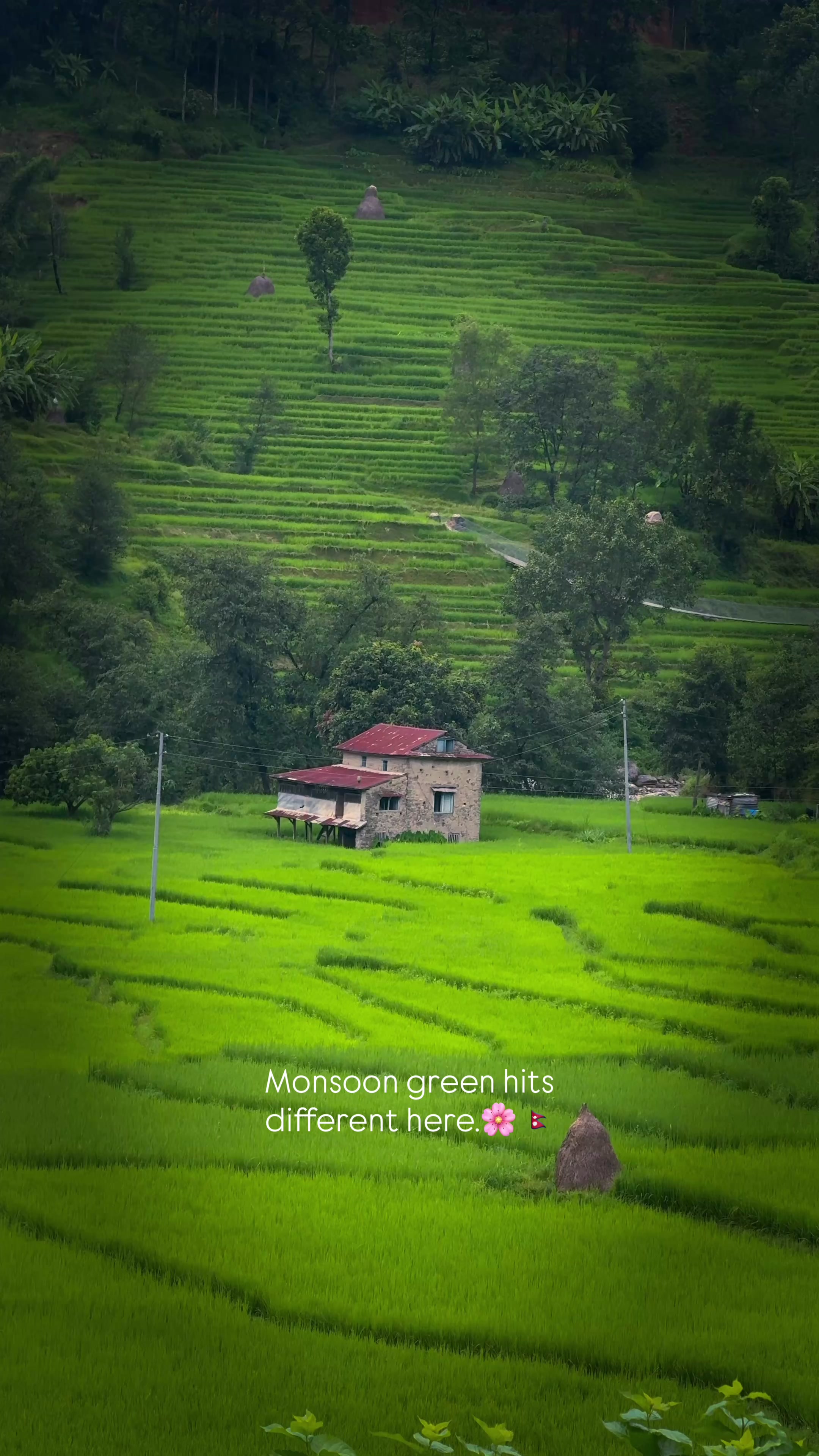 @Sudarshan Neupane