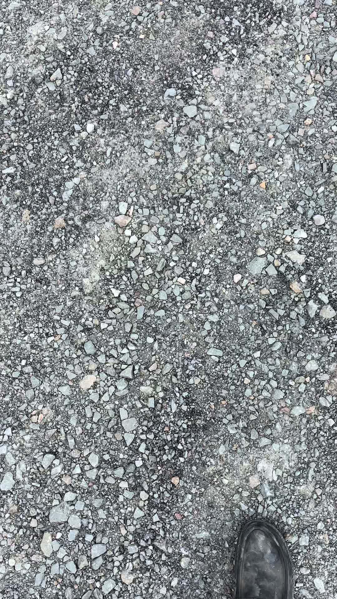 @𝑬𝒗𝒂𝒏 𝑨𝒗𝒂𝒏𝒕𝒔#55🏁