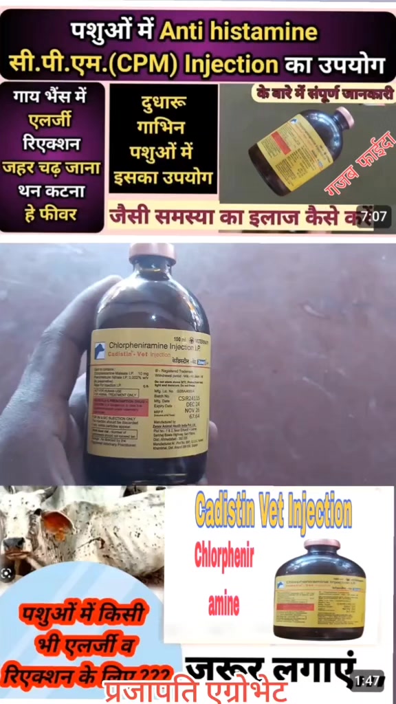 @Prajapati Agro Vet