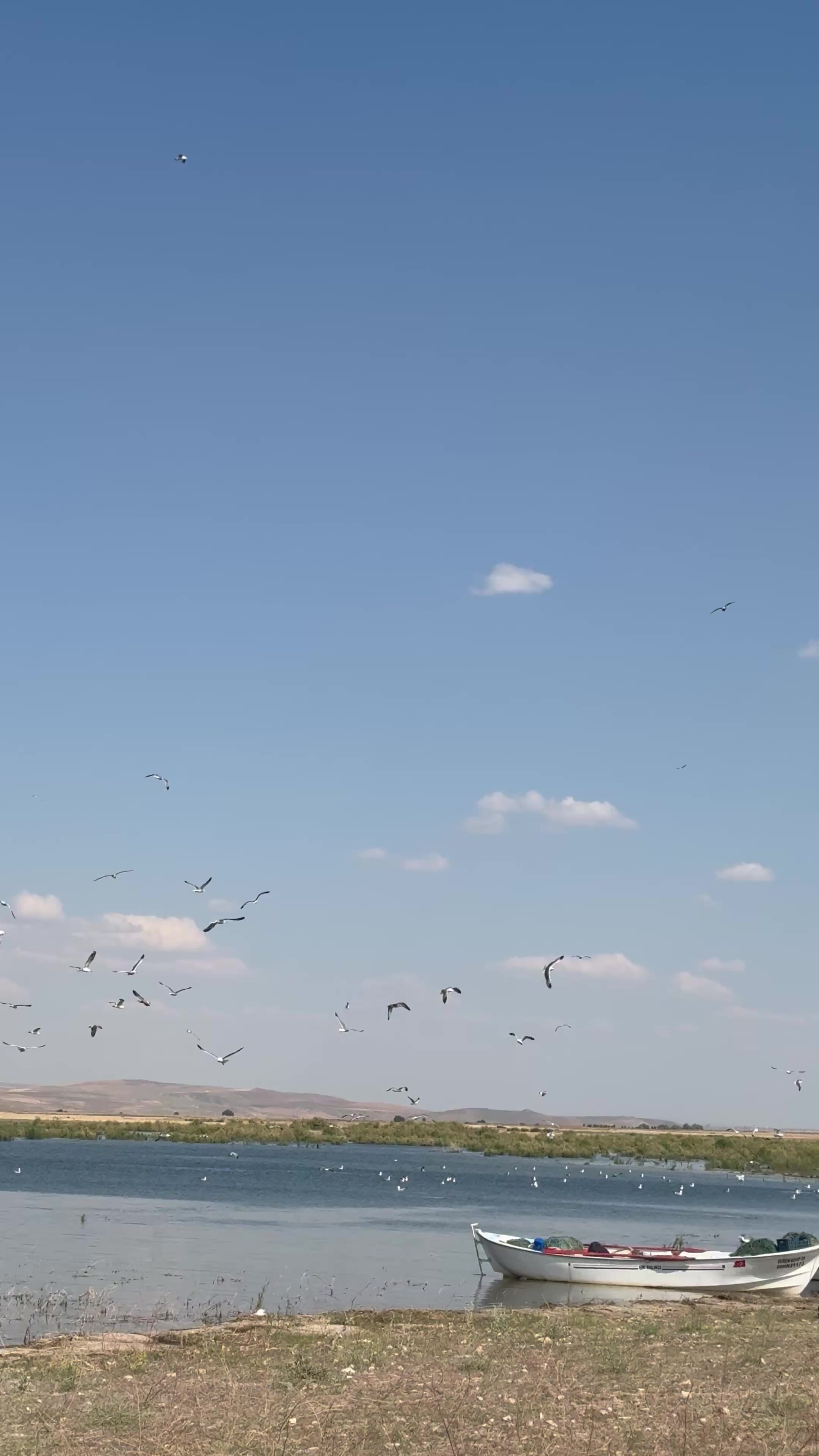 @bir g&uuml;nes