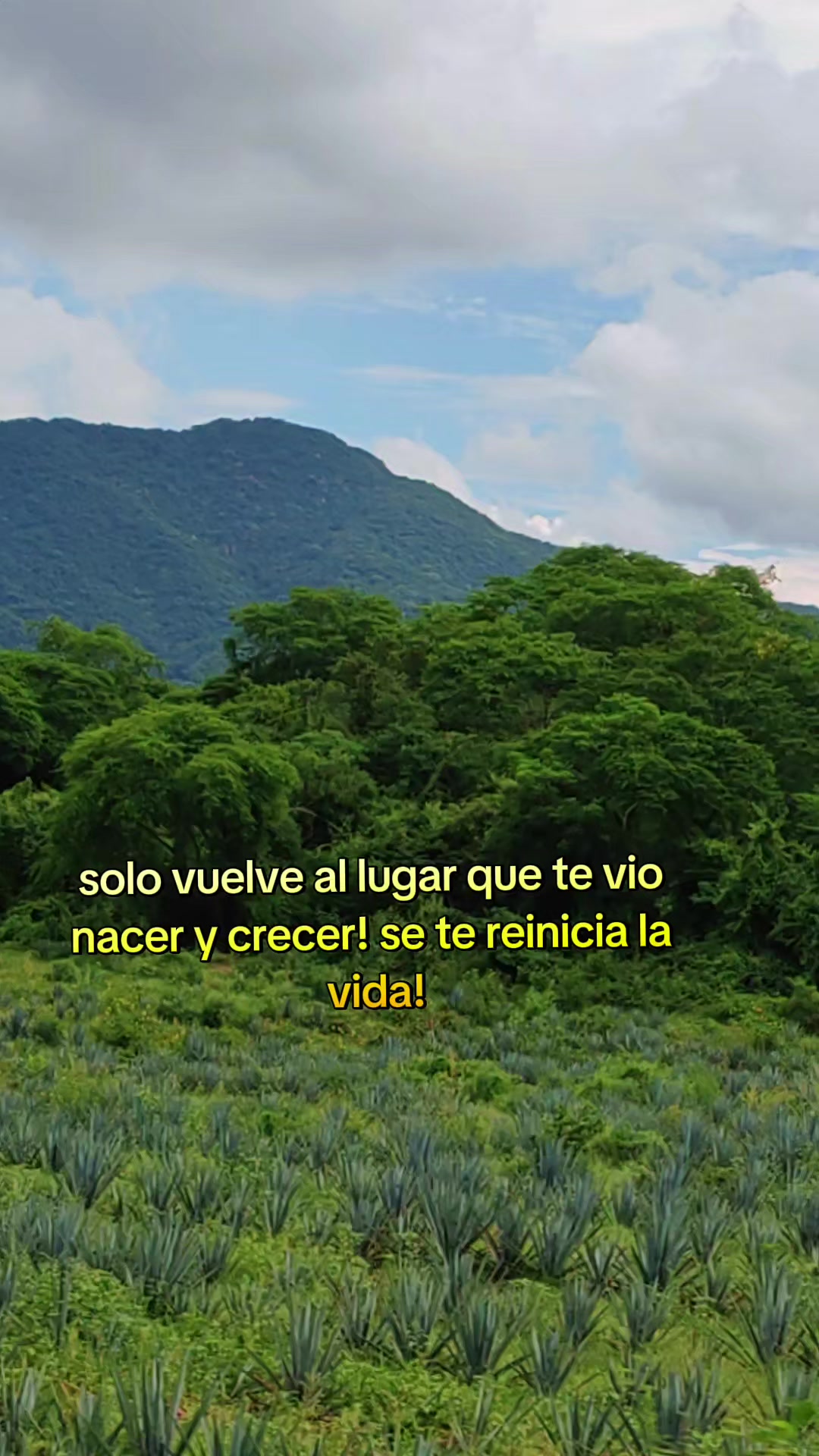 @Angel Osuna B.