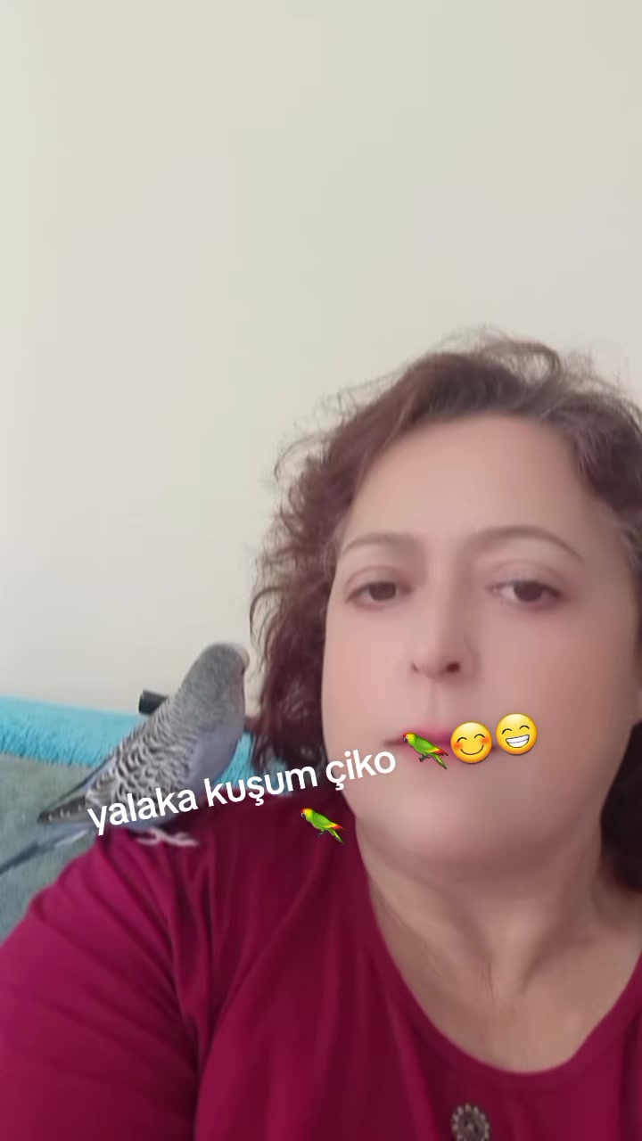 @Serpil Karaman