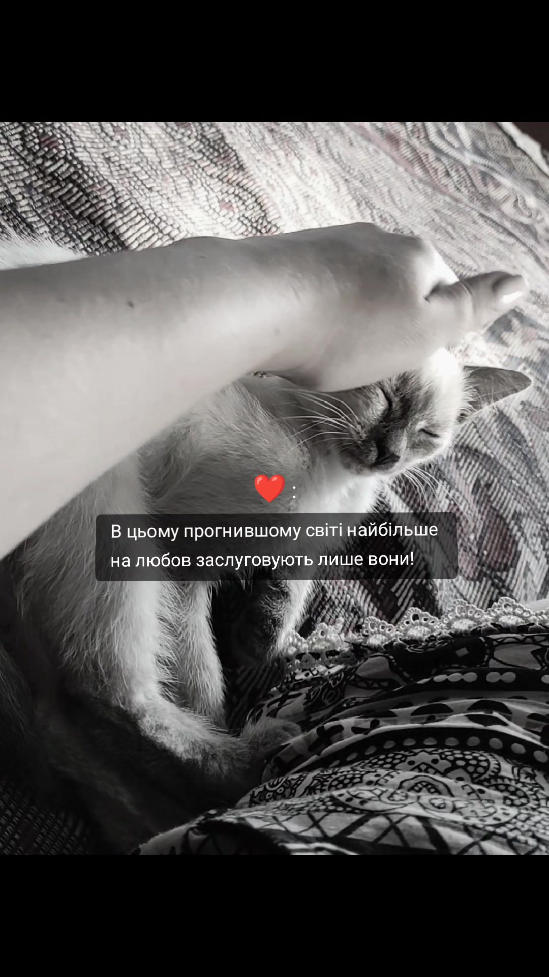 @Таня✨