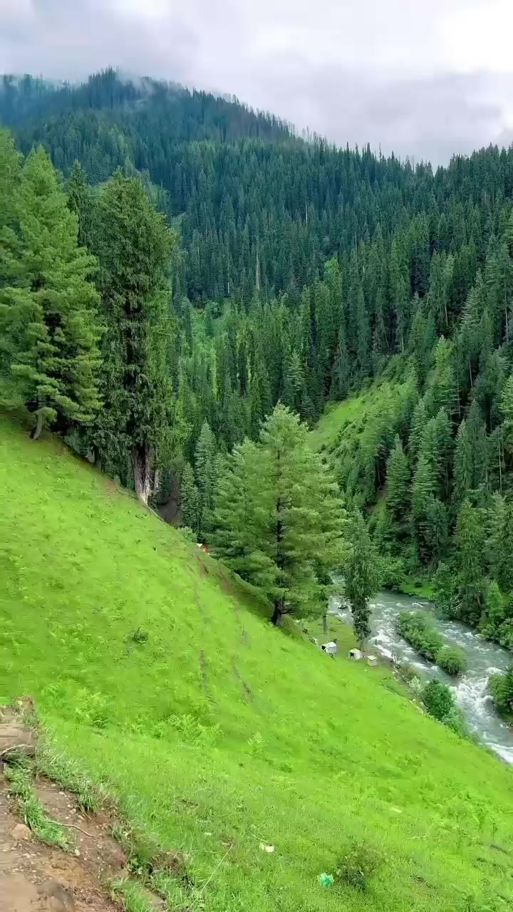 @Shoaib Amanullah Lone