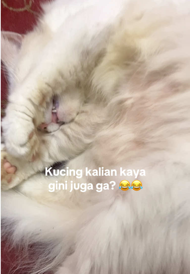 @Cikchubwa