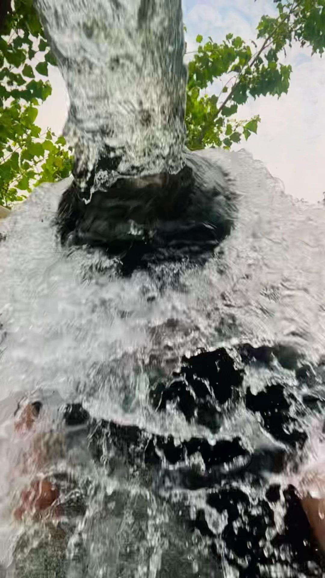 @𝐌𝐫_𝐉𝐚𝐧𝐣𝐮𝐚_𝟒𝟐𝟔