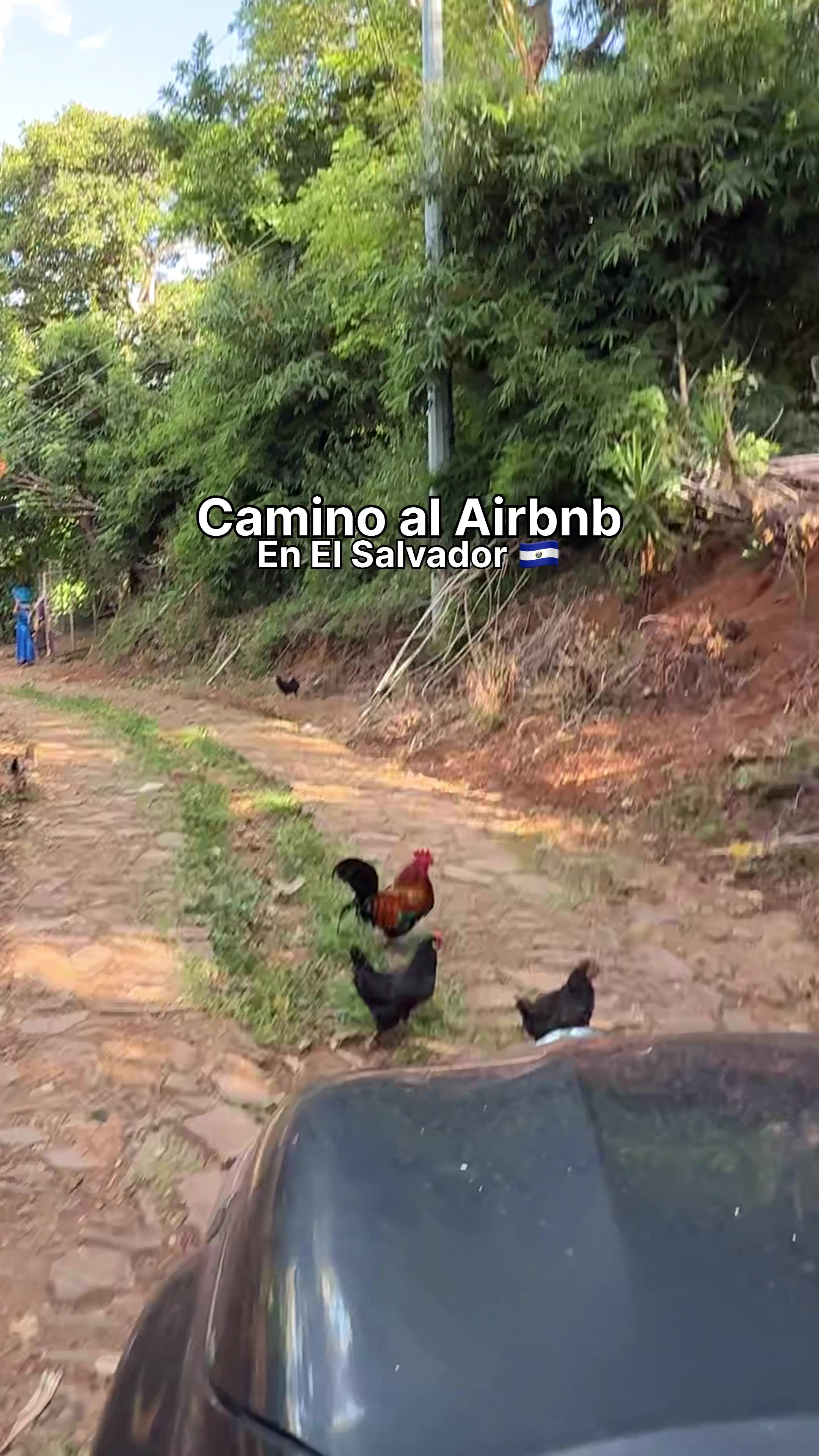@El Tavo Viajero