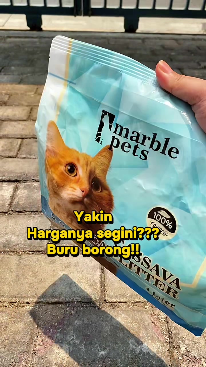 @Hachi Family