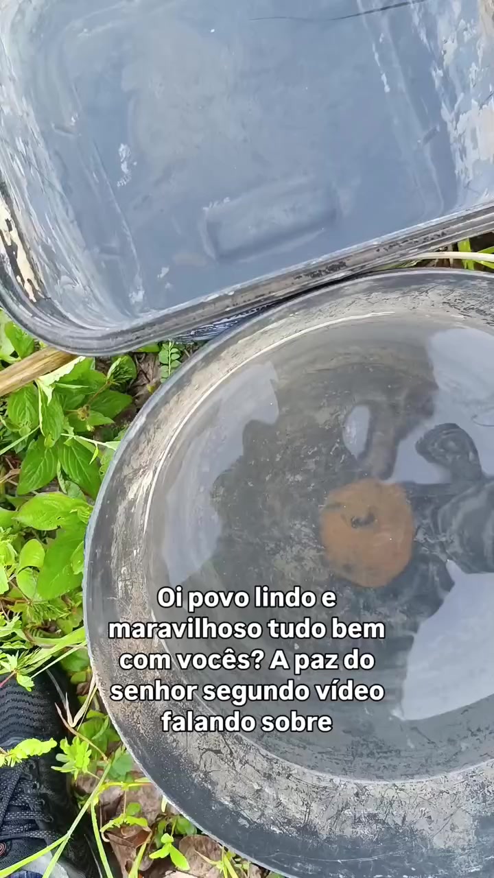 @presentes_da_fabi