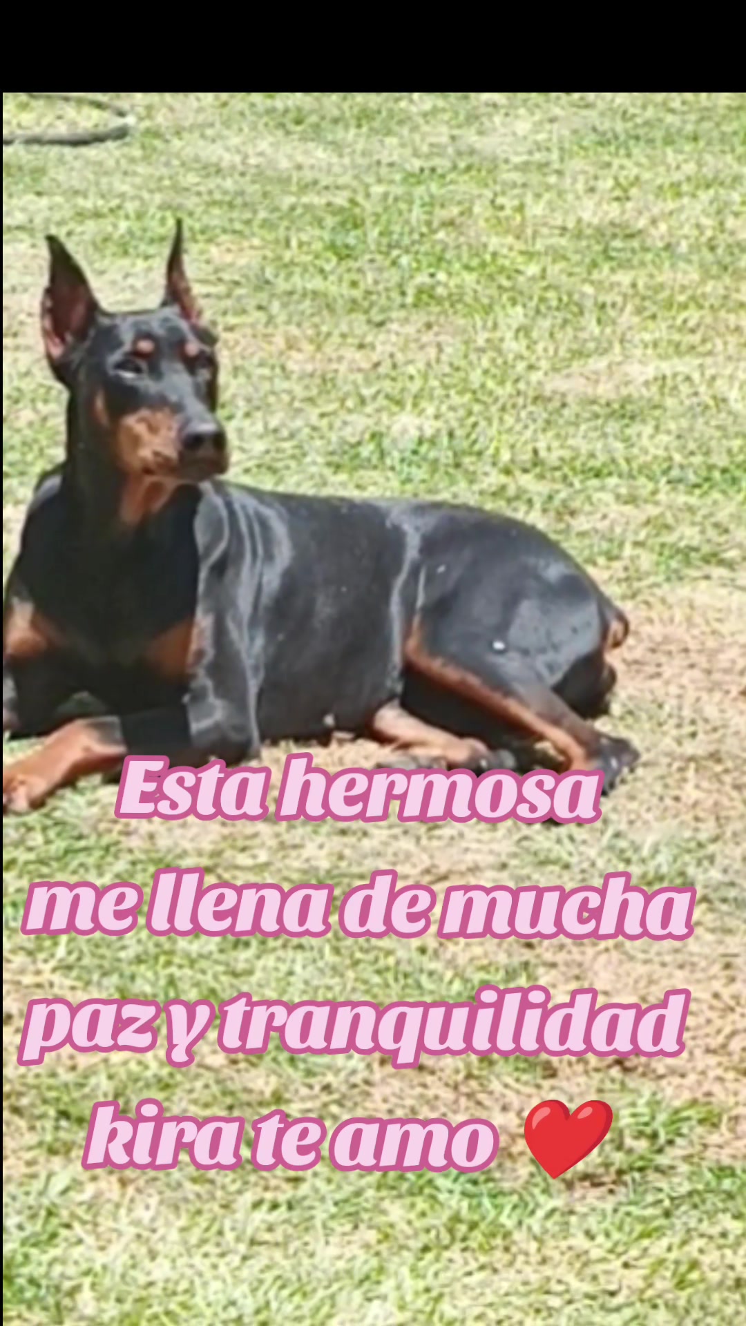 @ReinaRoj@❤️