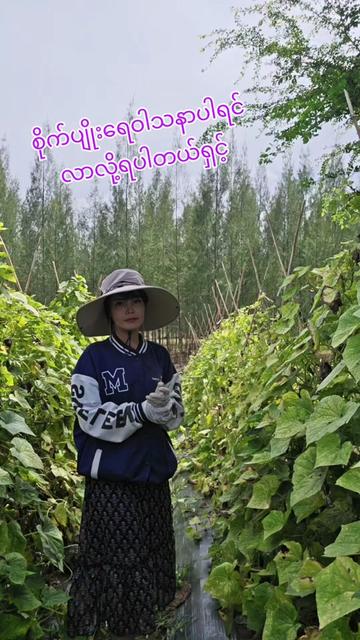 @မမပဲခူးသူ