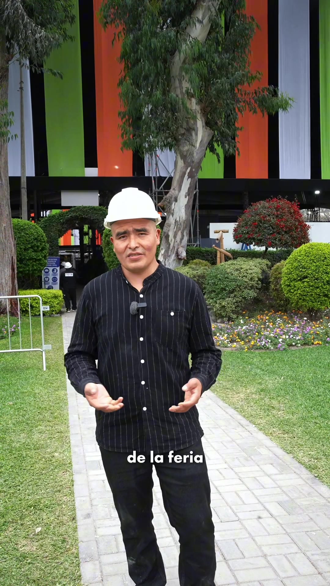@Cuadros Pimentel