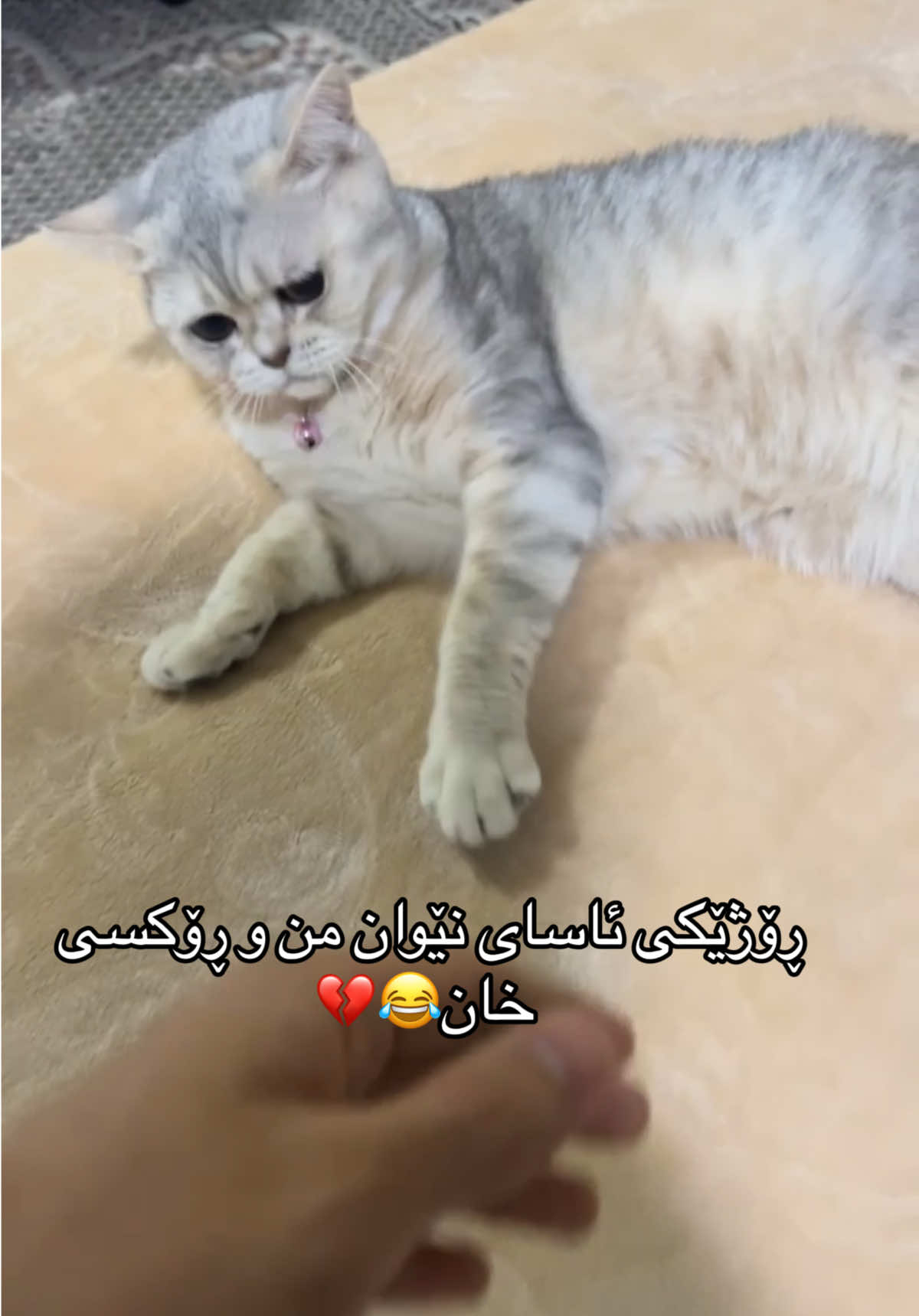 @R&rsquo;&rsquo;🌞♾️