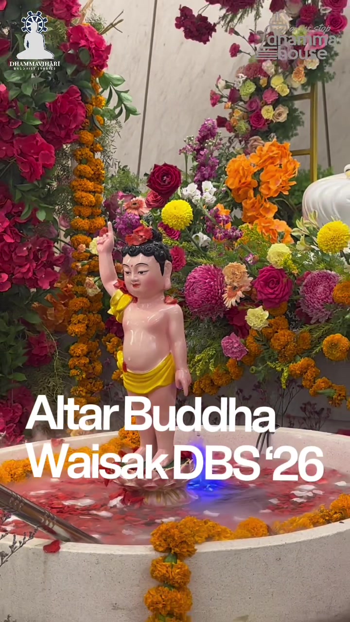 @Dhammavihari Buddhist Studies