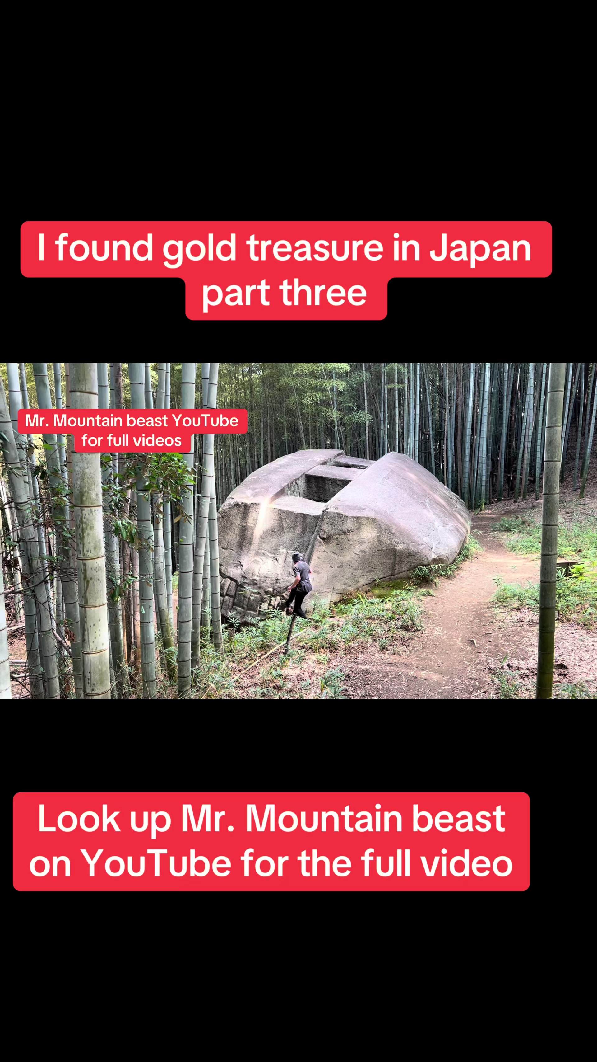 @Mr.mountainbeast