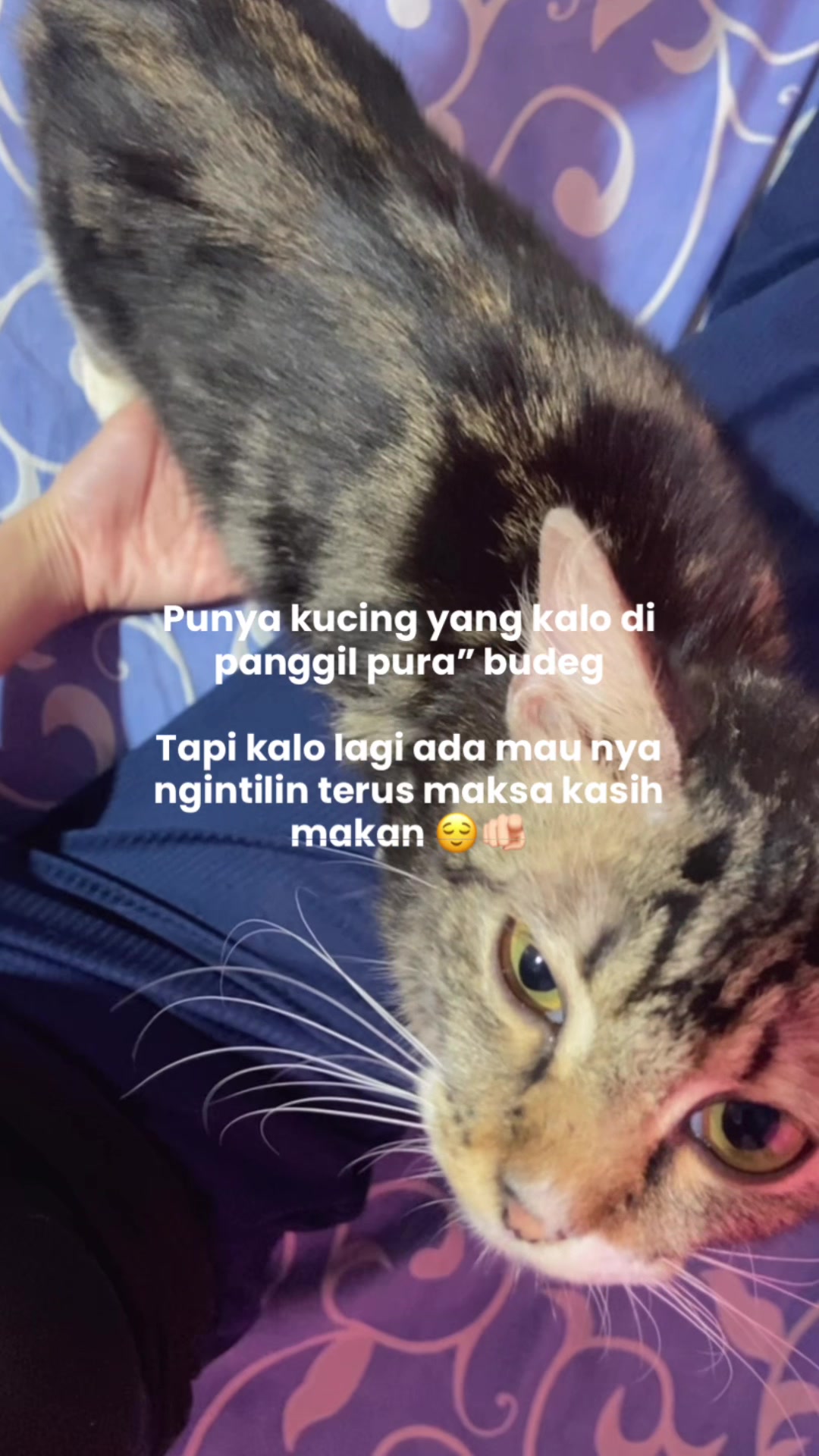 @Cikchubwa