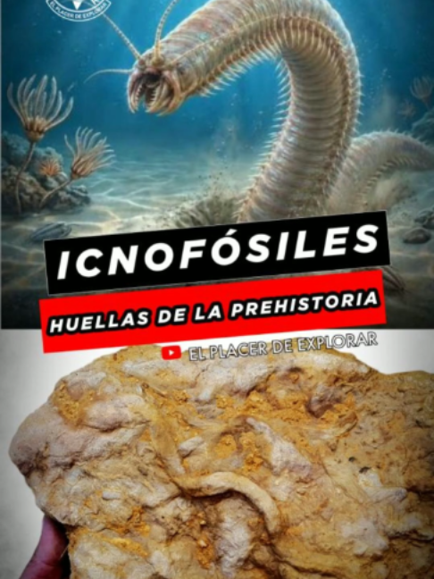 @El Placer De Explorar