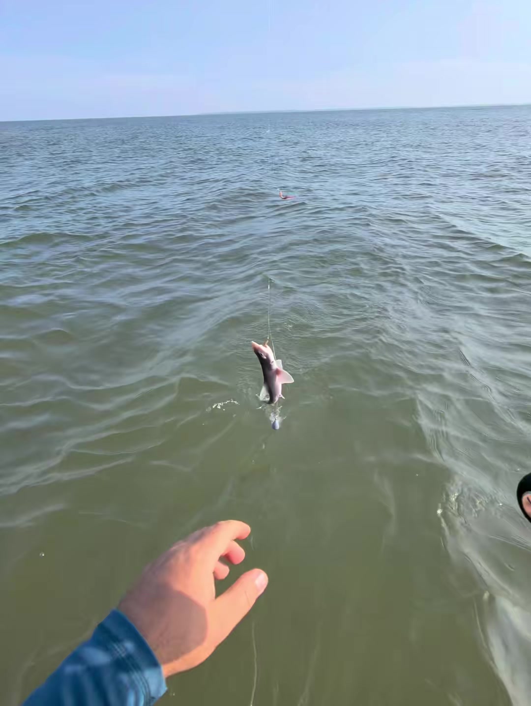 @🛳️hàmìdø⚓⚡Ræysë🐬🏴☠️