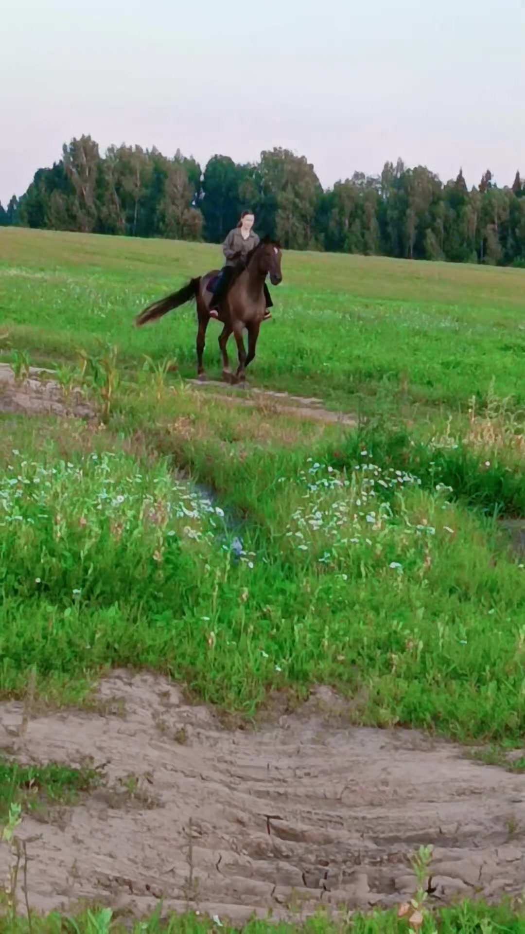 @Елена