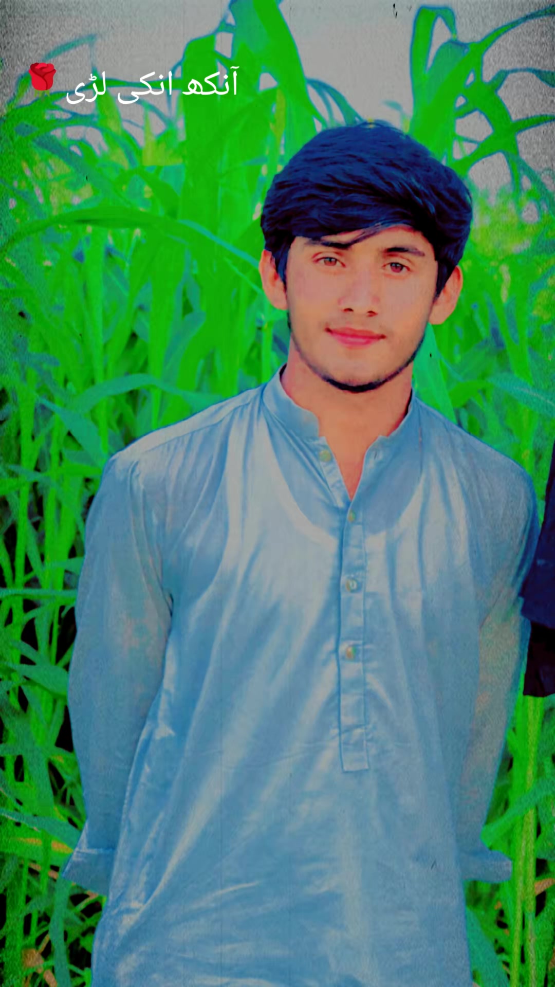 @Shahid Amin Tori