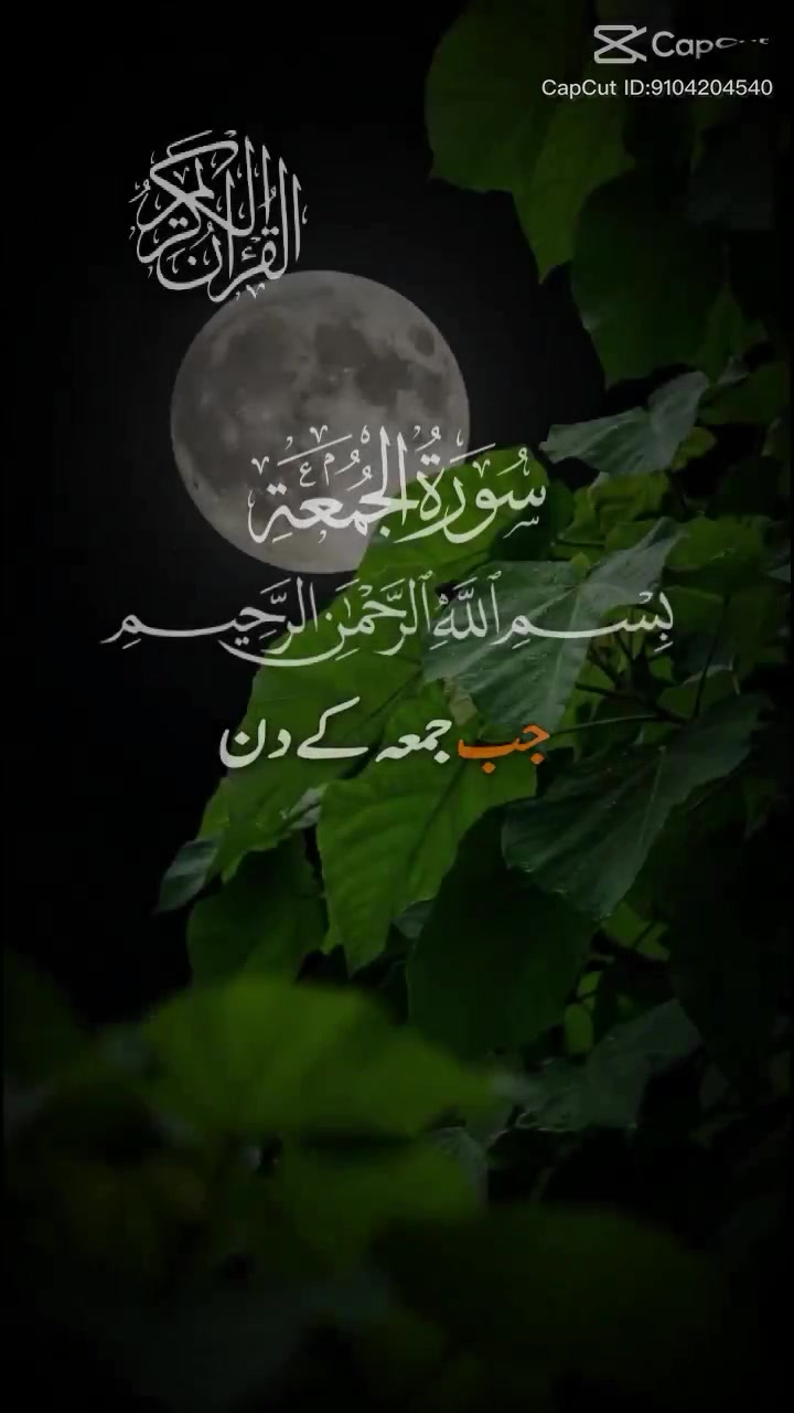 @irfan ali