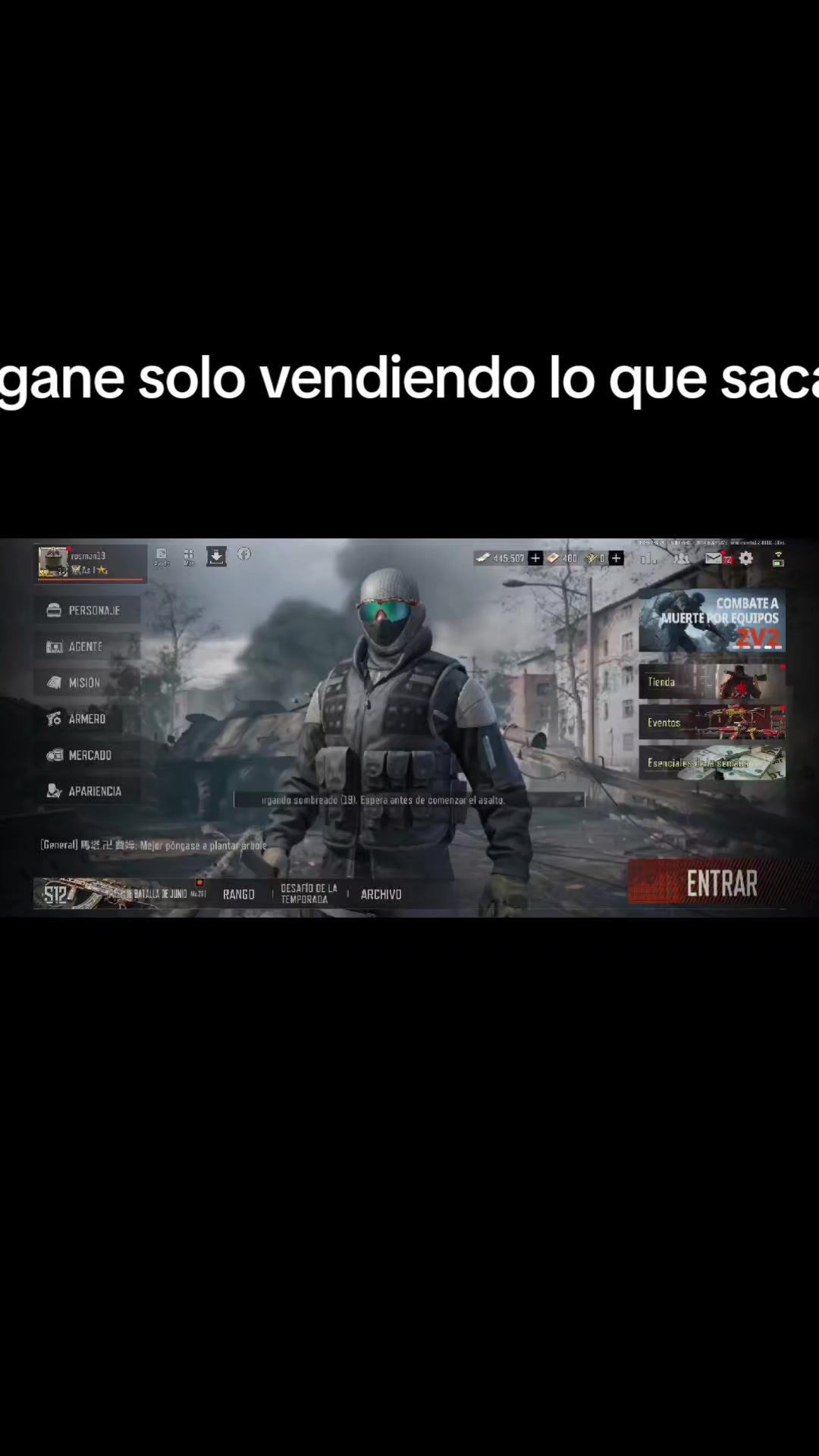 @gato de combate