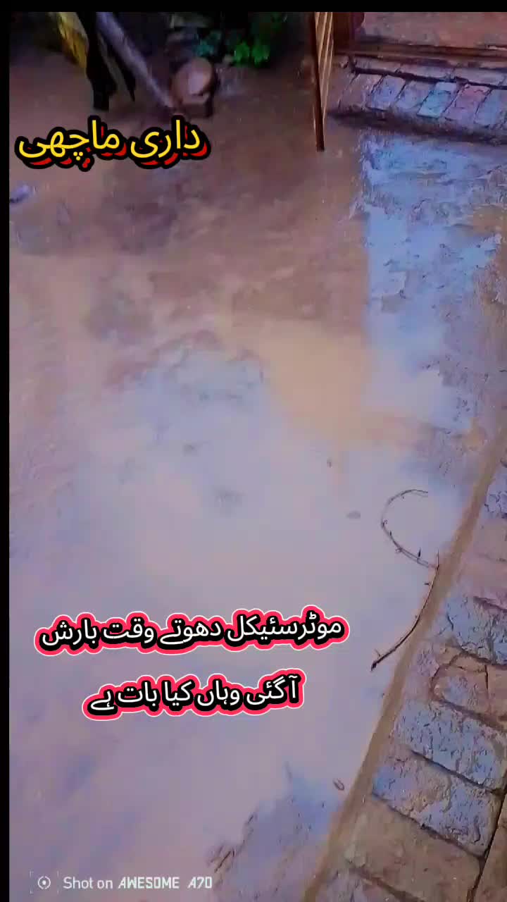 @حبدار علی ساہیوال الا