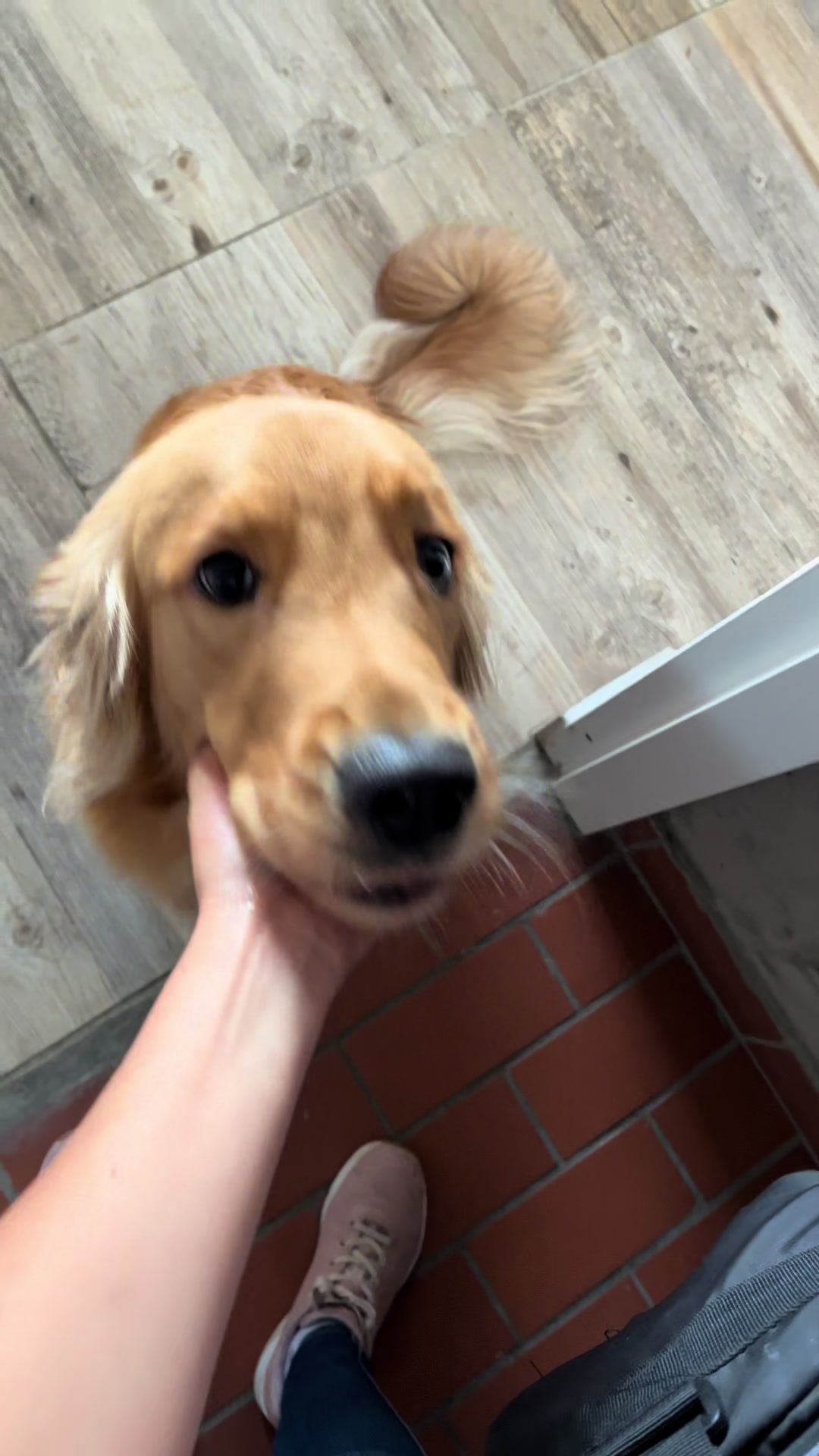@Mila 🐶