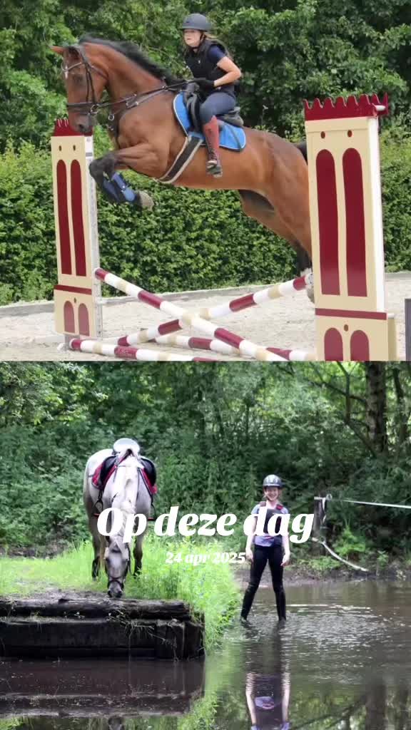 @Elegantia Horses