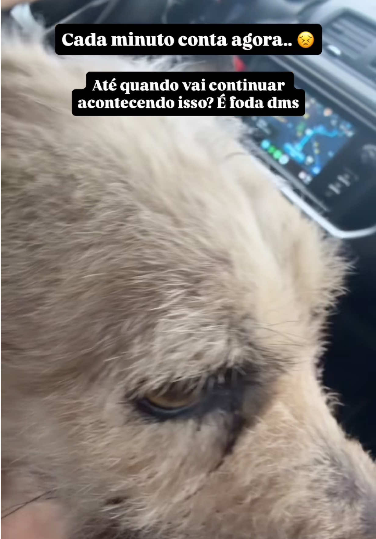 @julinhocasares