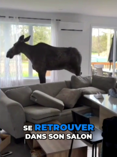 @TVA Nouvelles