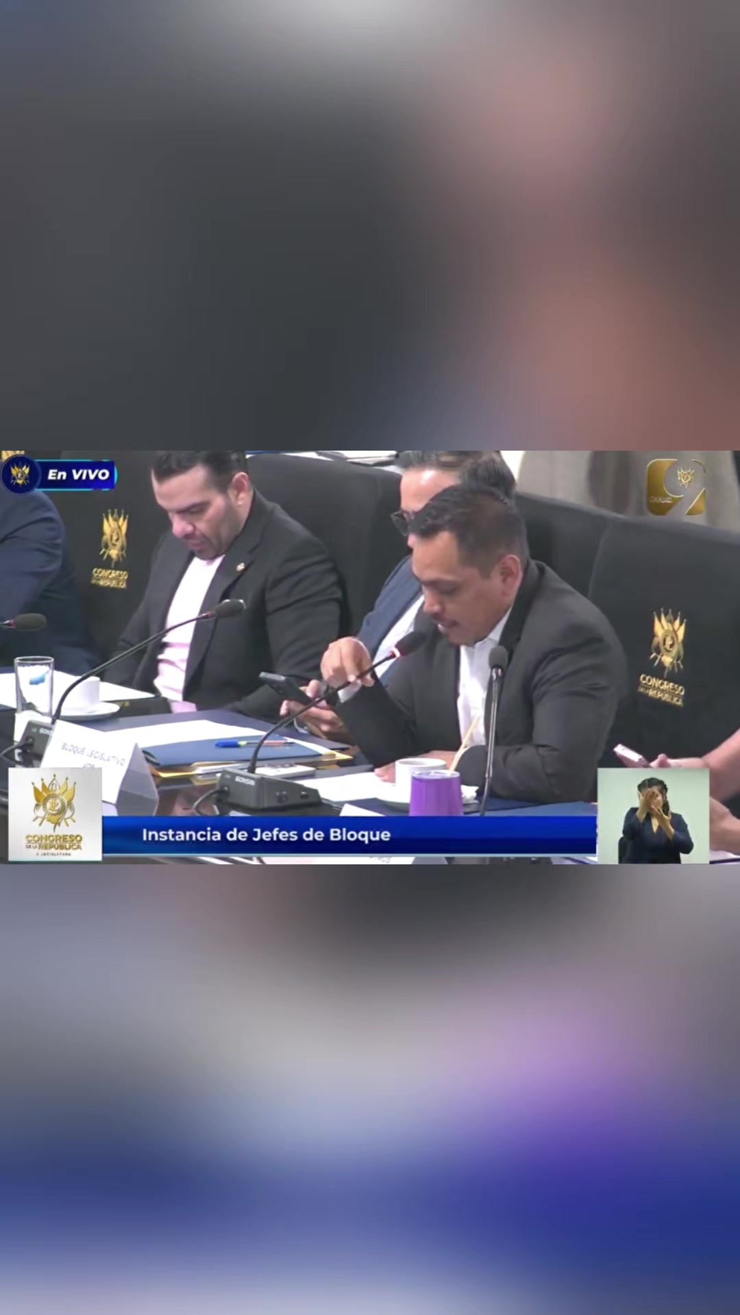 @José Chic