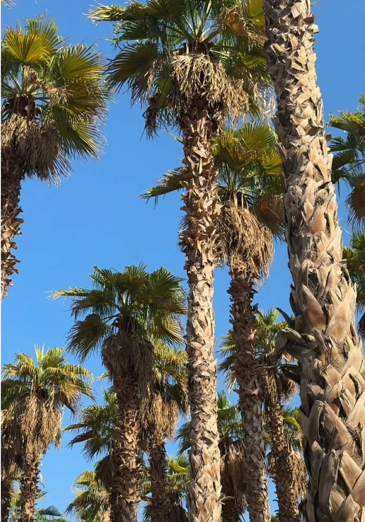 @سليمان الظفيري 🎥 🎞️