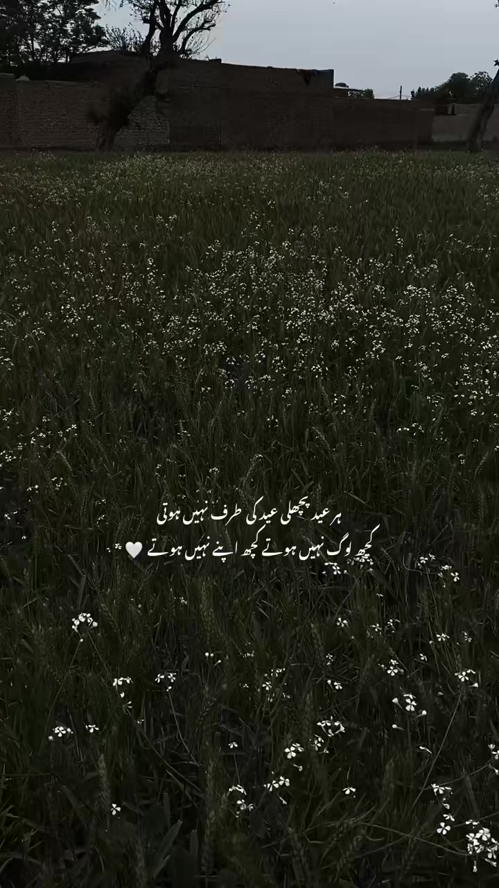 @zahraabbas47