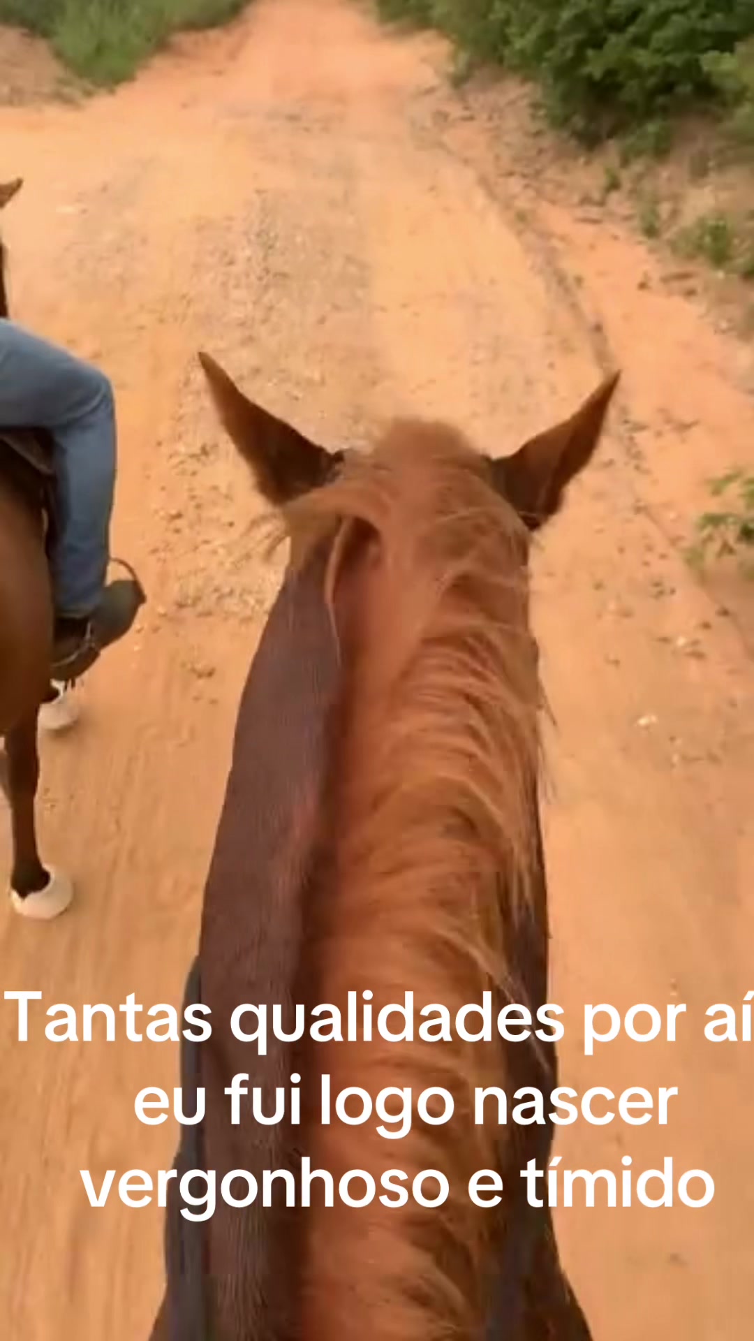 @Belga 10 e faixa