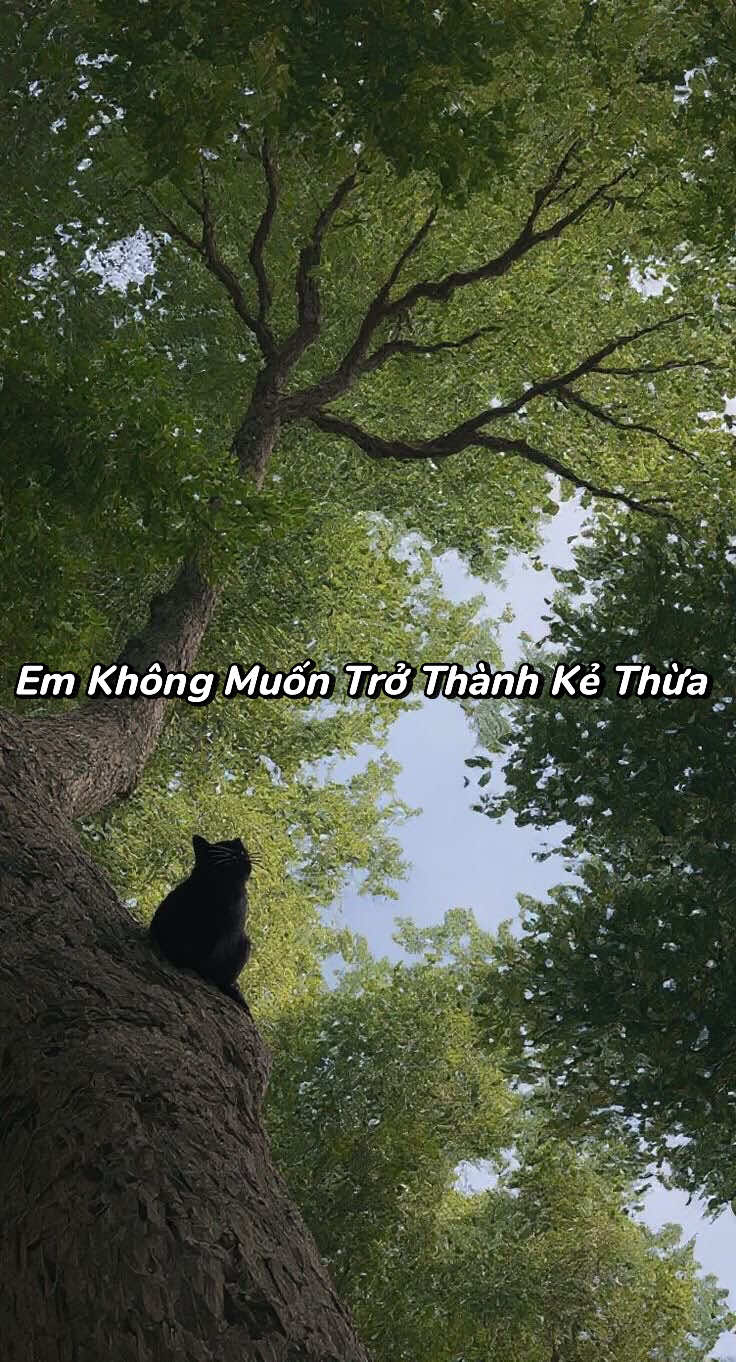 @Bạch Lang Audio🌷