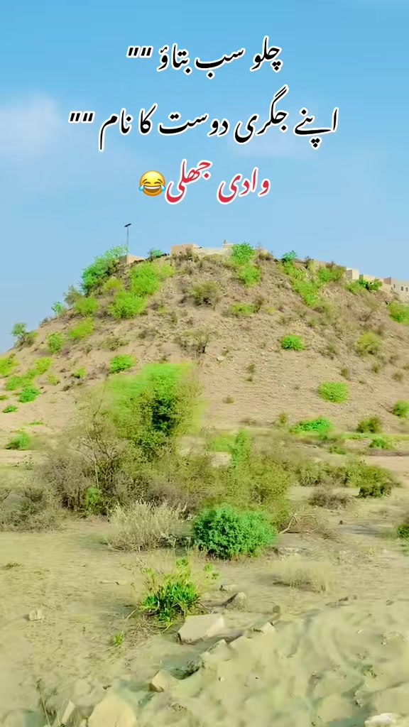 @محترمہ 🍁