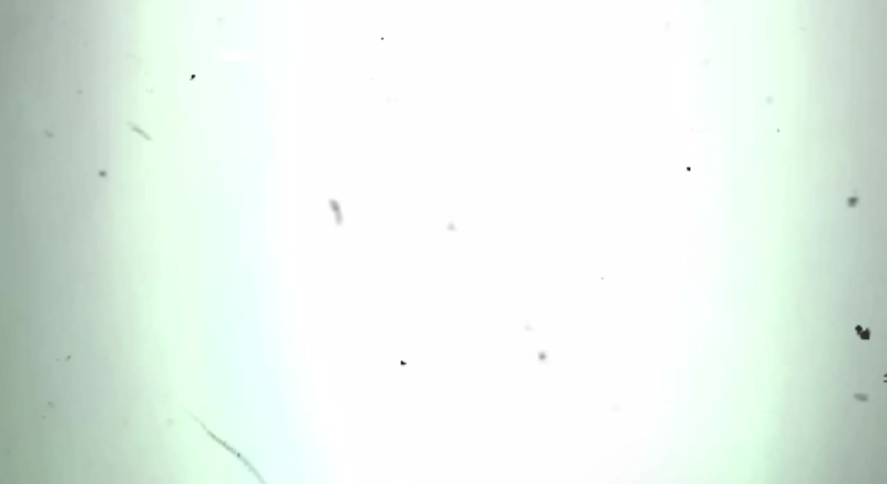@M:)🫀