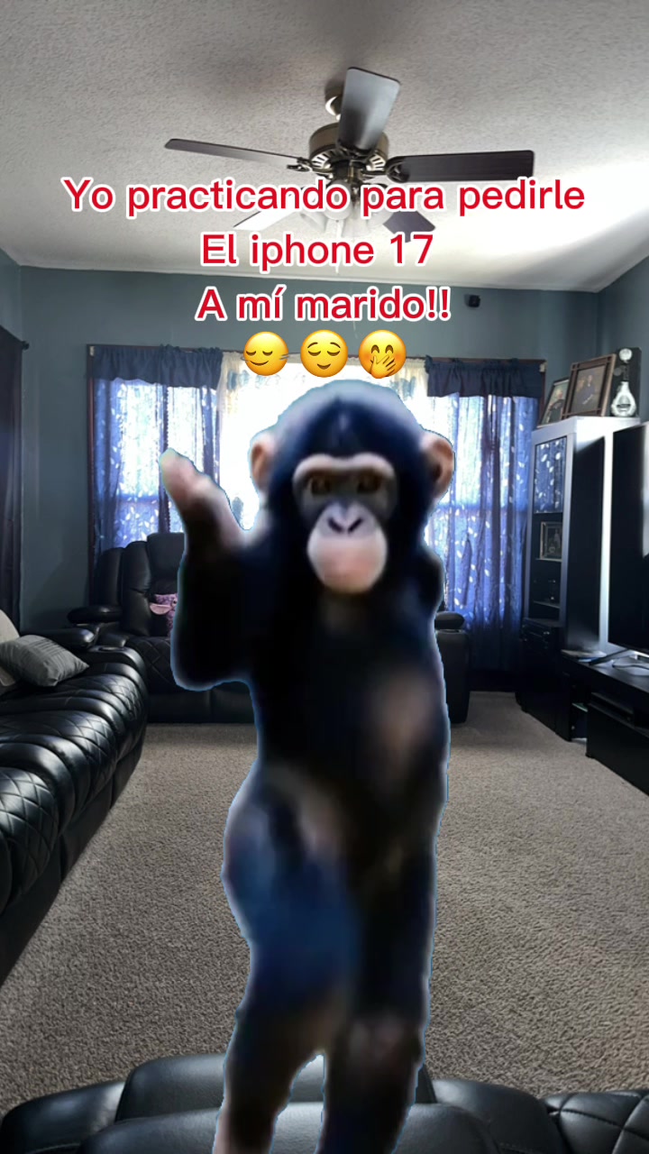 @lucas