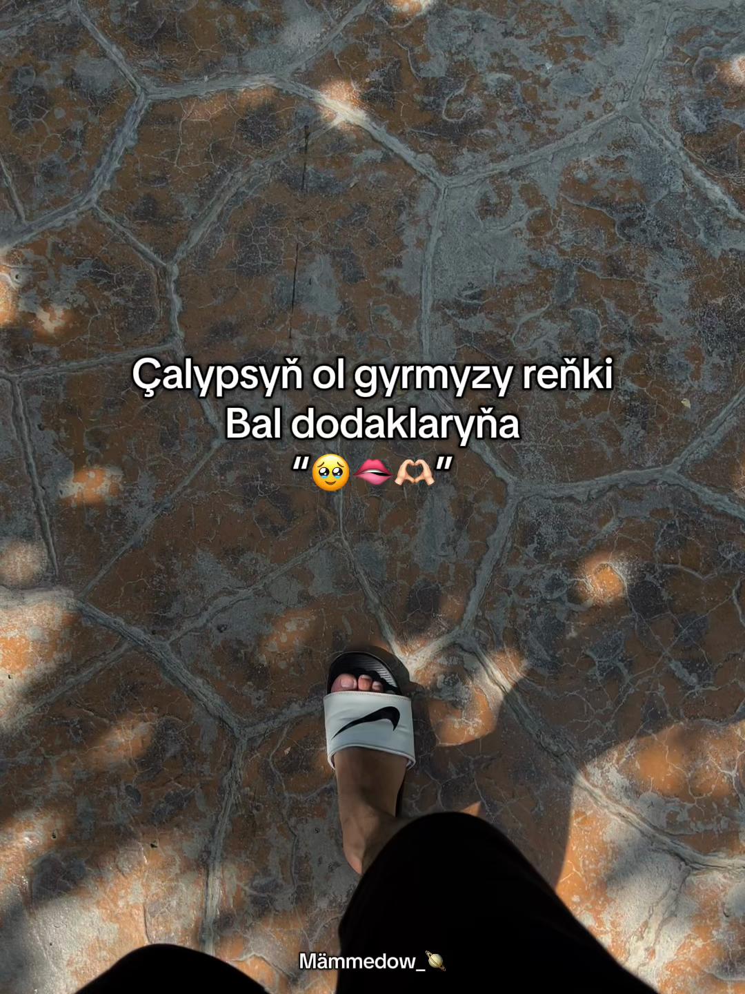 @Mämmedow_🪐