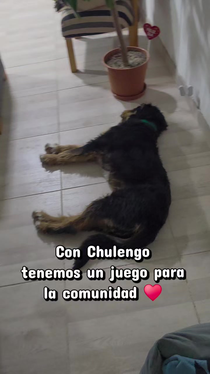 @Ro Alonso