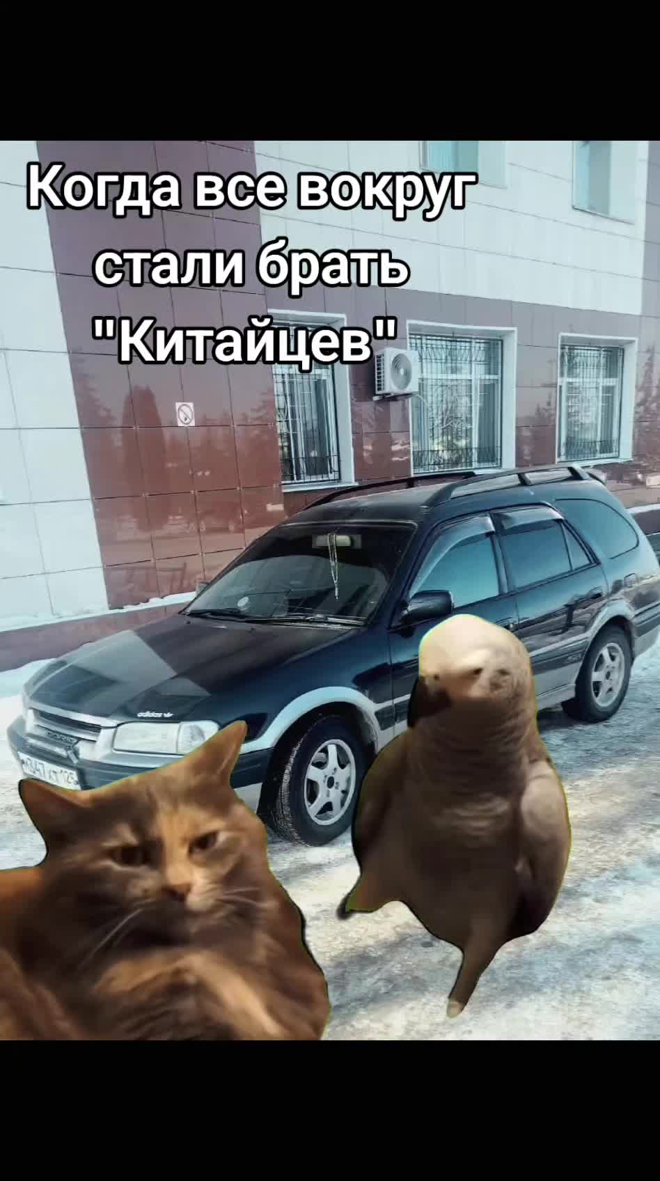 @Татьяна Клим