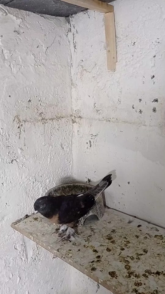 @deniz kayıkcı 73